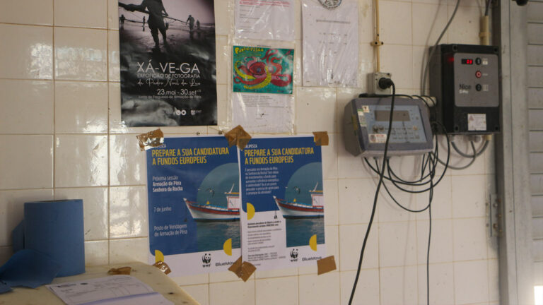 posters-workshop-european-funding-sustainable-fishing-portugal
