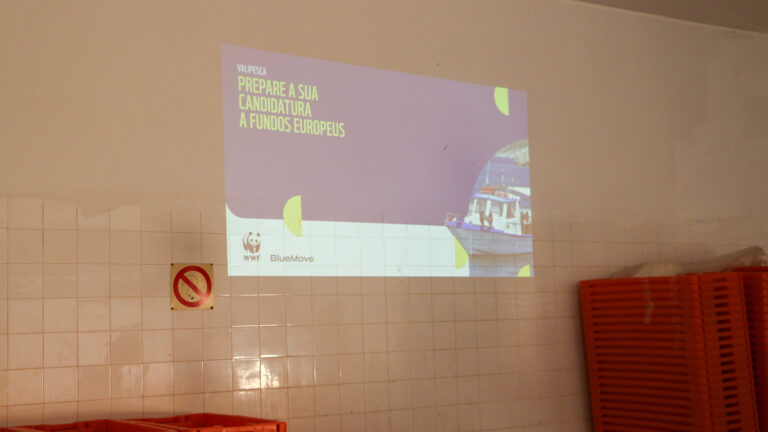 presentation-workshop-sustainable-fishing-portugal-armacao-sda-rocha