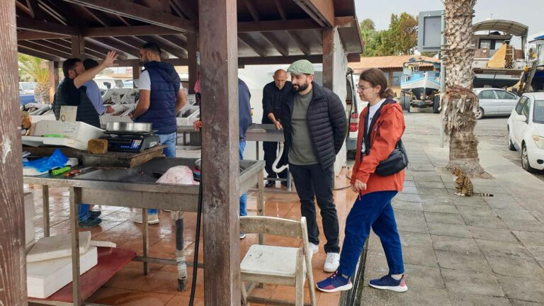 visit-fish-market-fishing-shelter-cyprus-larnaca