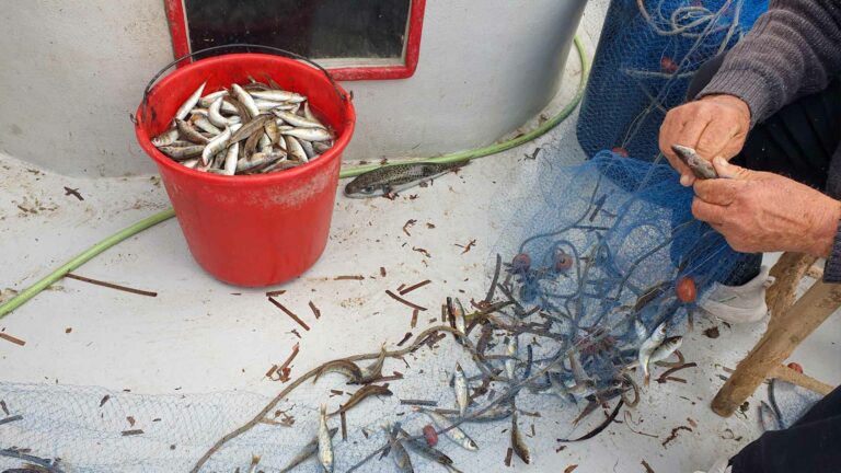 visit-fishing-shelter-cyprus-larnaca-2